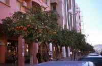  - click for larger version