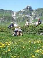  - click for larger version